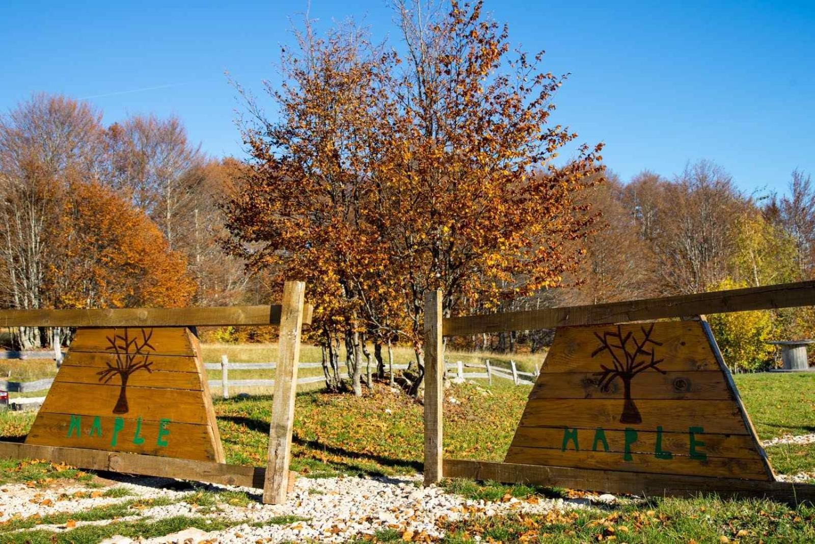 Maple Bungalows Žabljak Eksteriør bilde